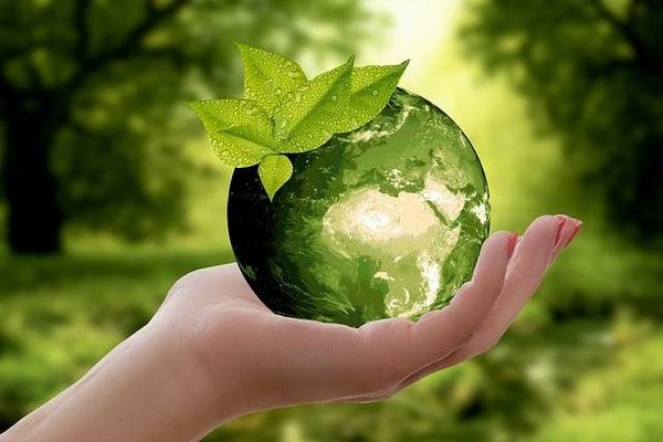 Comment le naturisme contribue-t-il au respect de l'environnement?