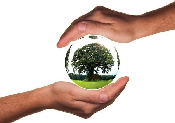 Les Meilleurs Campings Naturistes Écologiques en France