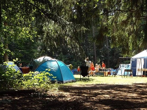 Les activités idéales pour les enfants lors d'un camping naturiste