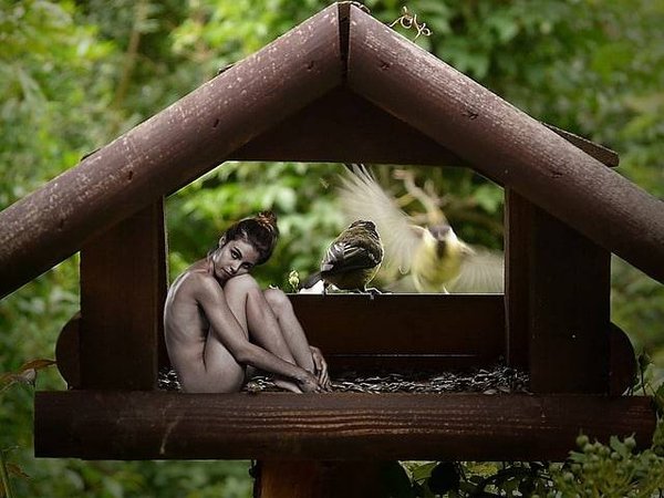 Comment les campings naturistes allient-ils naturisme et confort?
